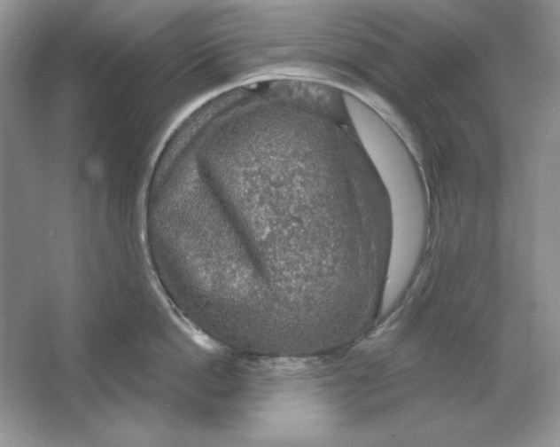 X0000064740862200603031706