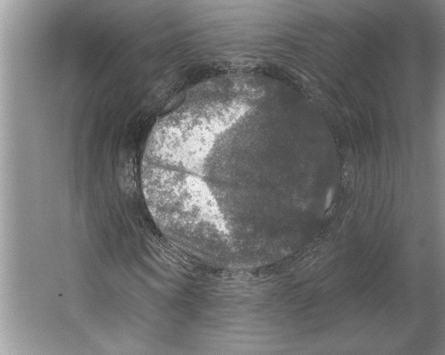 X0000064740866200603031705