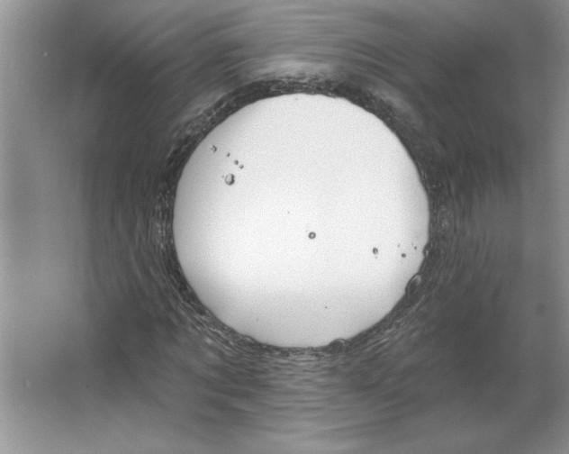 X0000064740869200603031705