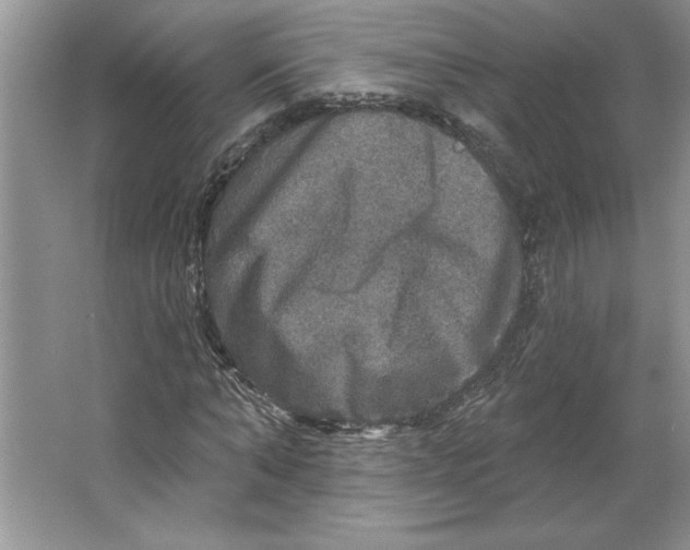 X0000064740870200603031705