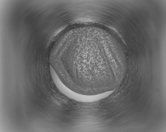 X0000064740871200603031705