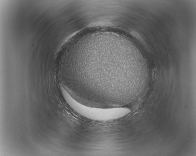 X0000064740872200603031705