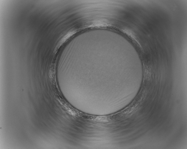 X0000064740874200603031705