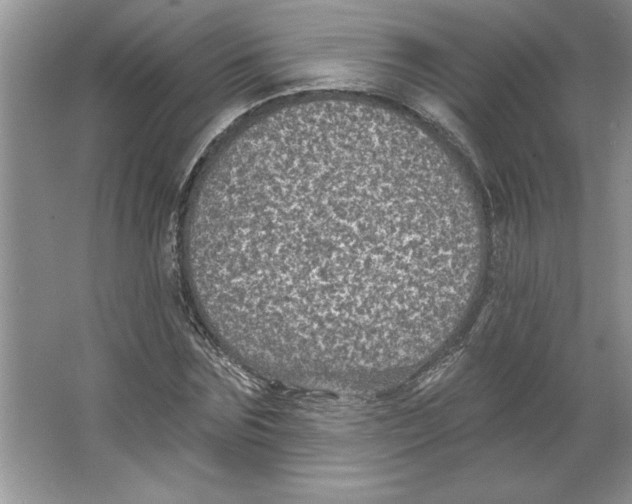 X0000064740875200603031705