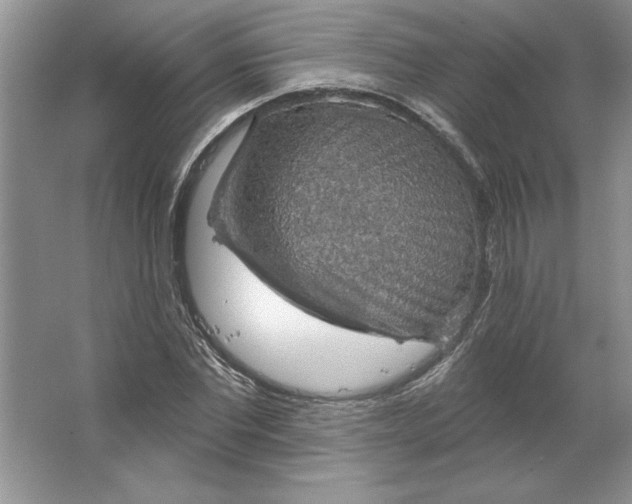 X0000064740877200603031705