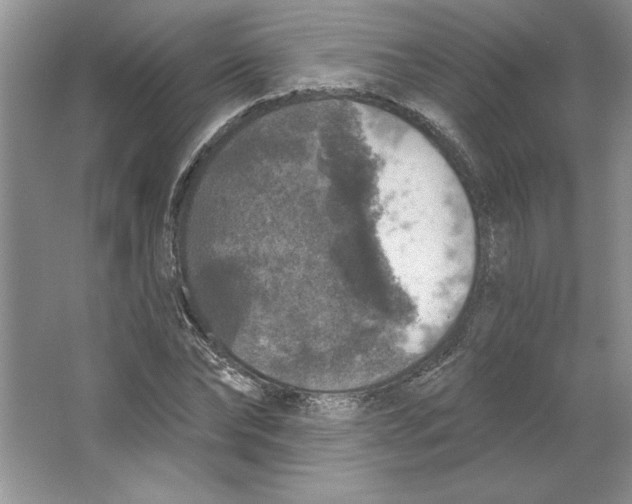 X0000064740878200603031705