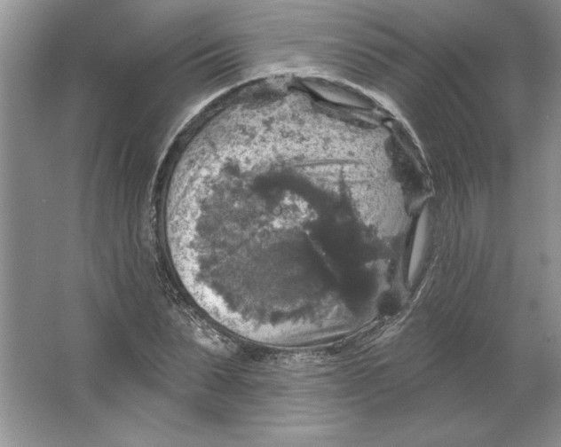 X0000064740879200603031705