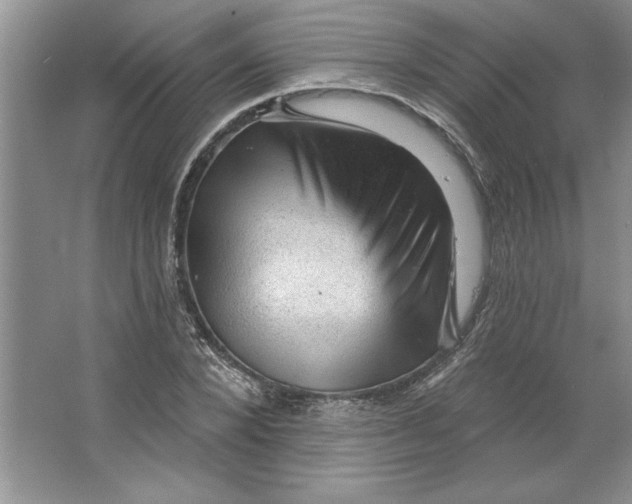 X0000064740880200603031705