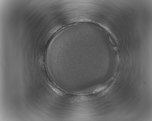 X0000064740881200603031705