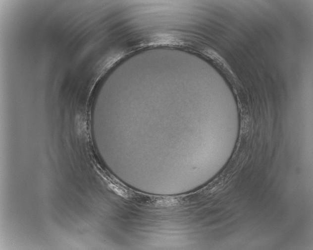 X0000064740882200603031705