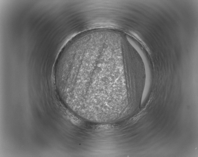 X0000064740883200603031705