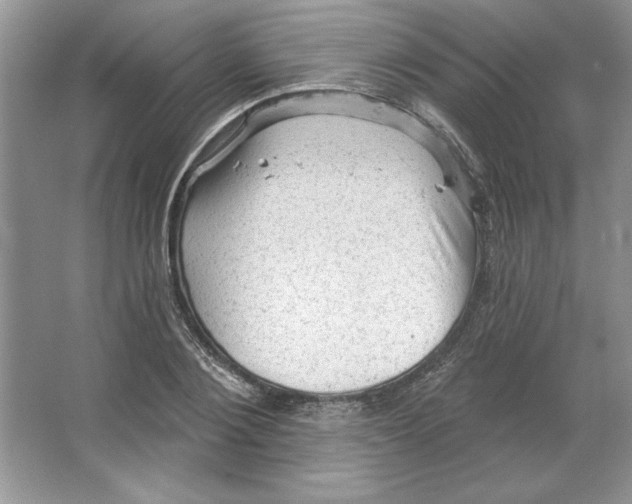 X0000064740884200603031704