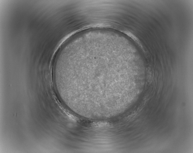 X0000064740886200603031704