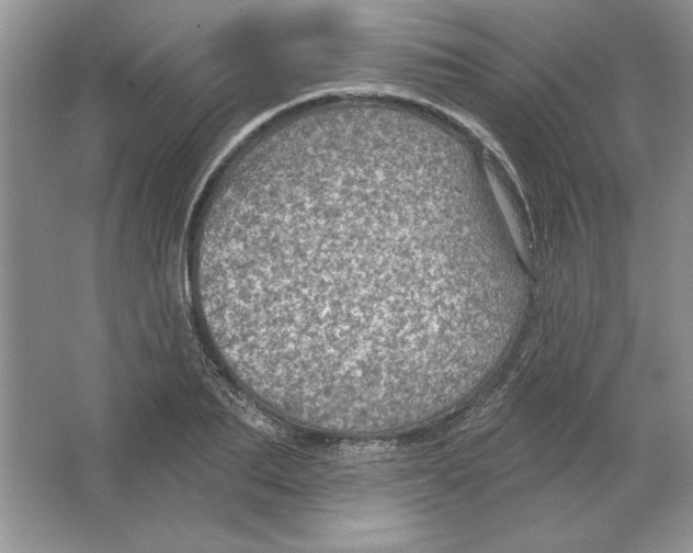 X0000064740887200603031704