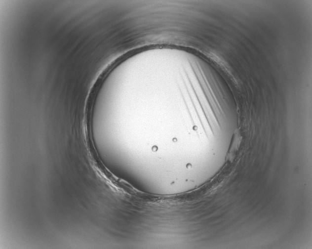 X0000064740888200603031704