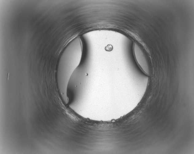 X0000064740889200603031704