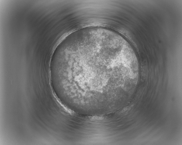 X0000064740890200603031704