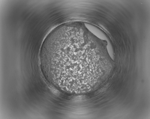 X0000064740891200603031704