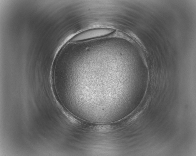 X0000064740893200603031704