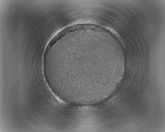 X0000064740894200603031704