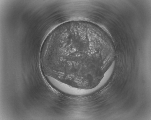 X0000064740895200603031704