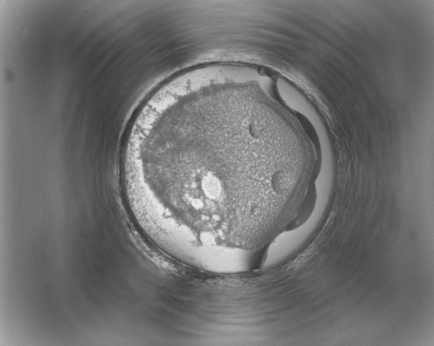 X0000064740896200603031704