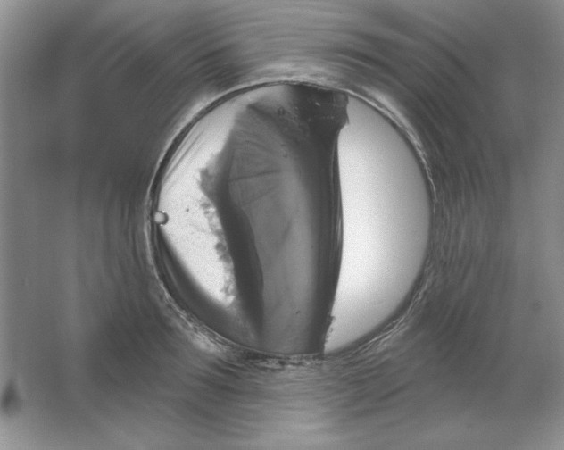 X0000064740899200603031704