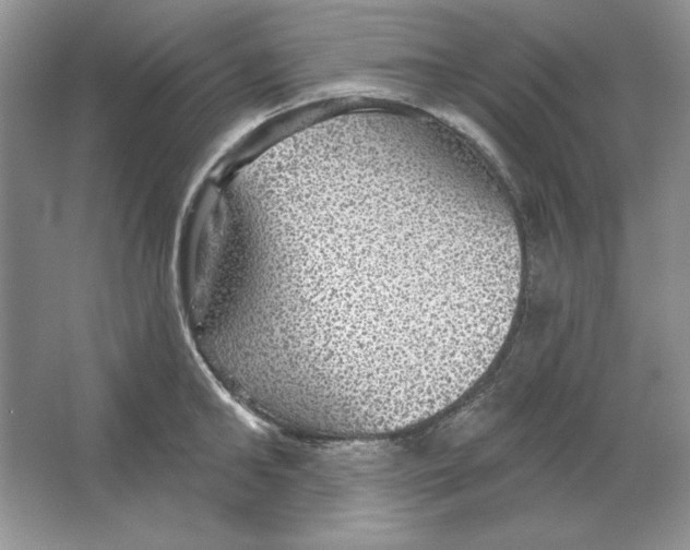 X0000064740902200603031704