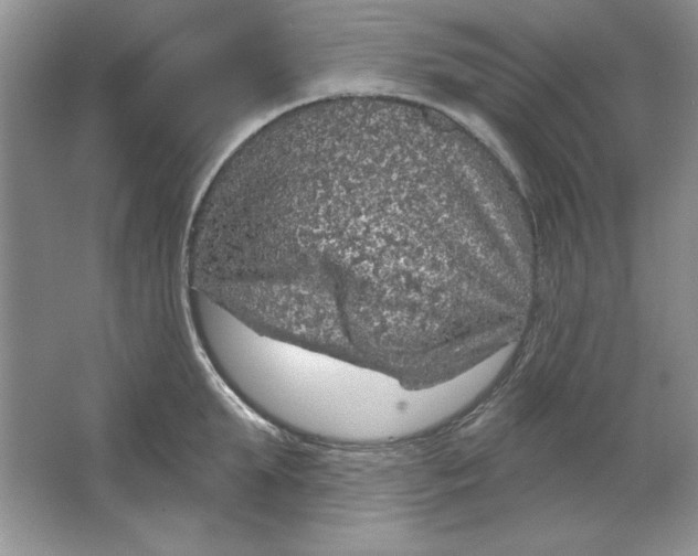 X0000064740903200603031704