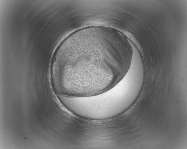 X0000064740904200603031704