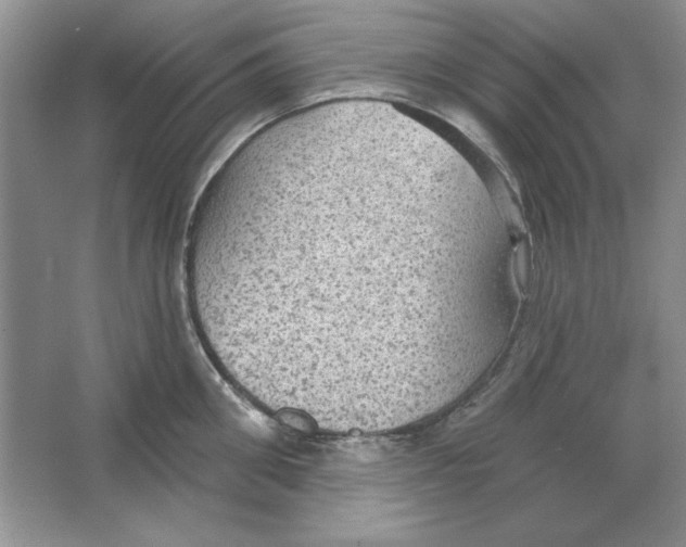 X0000064740906200603031704