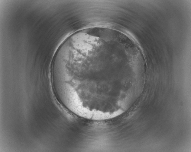 X0000064740907200603031704