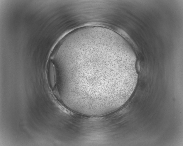 X0000064740908200603031704