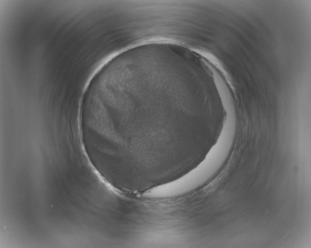 X0000064740910200603031704