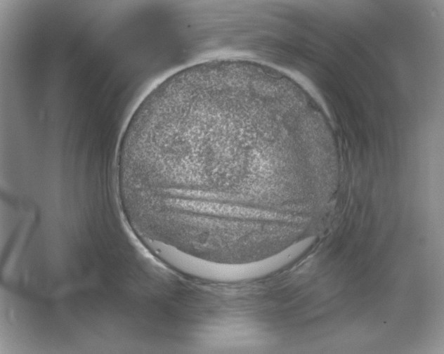 X0000064740911200603031704