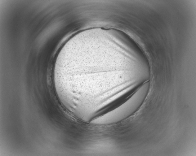 X0000064740912200603031704