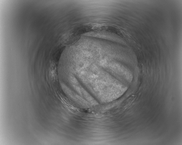 X0000064740914200603031703