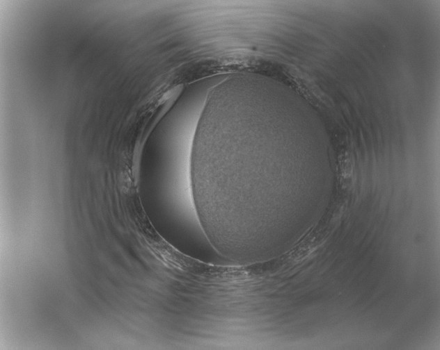 X0000064740916200603031703