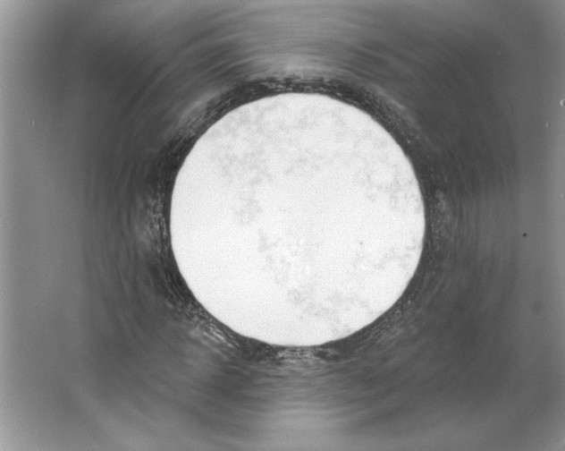 X0000064740918200603031703