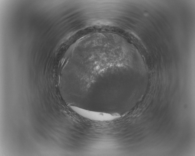 X0000064740919200603031703