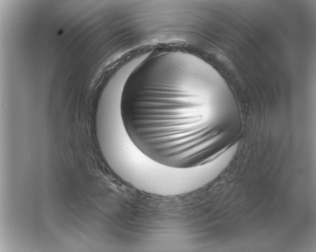 X0000064740920200603031703