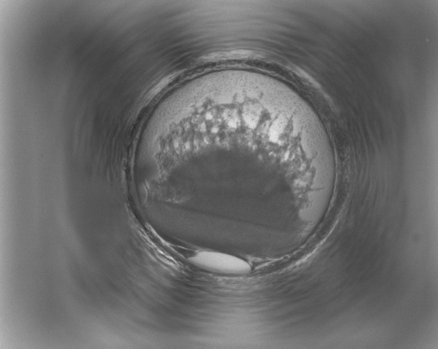 X0000064740921200603031703