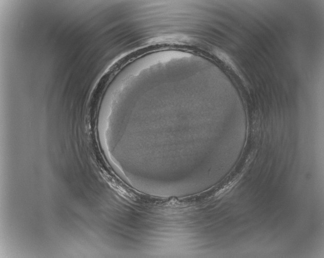 X0000064740923200603031703