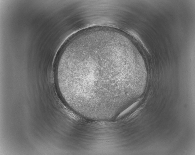 X0000064740924200603031703