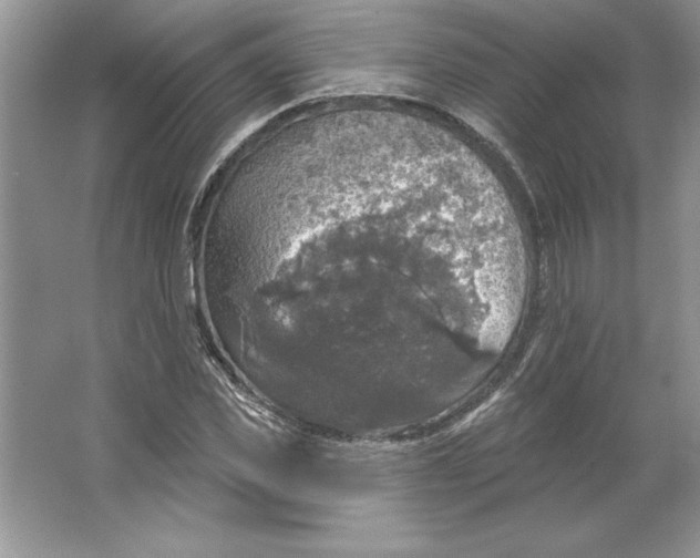 X0000064740925200603031703