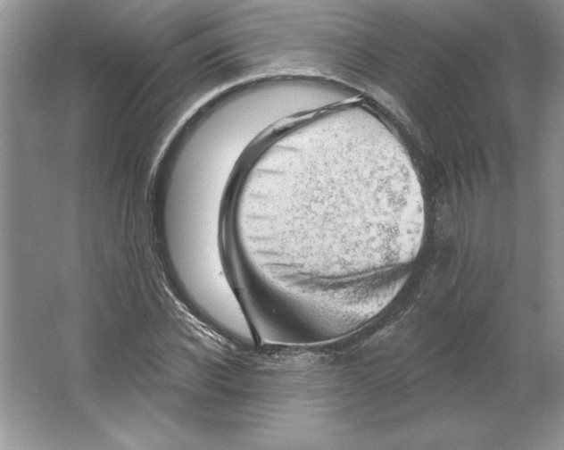 X0000064740926200603031703