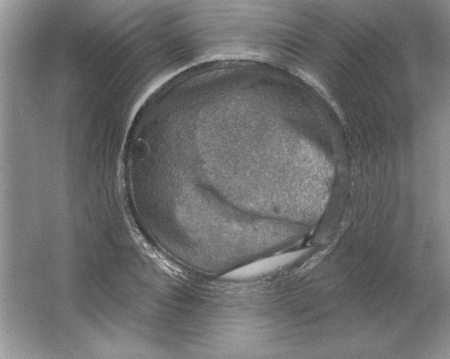 X0000064740928200603031703