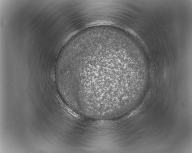 X0000064740929200603031703