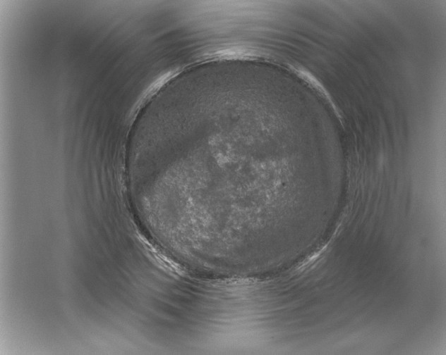 X0000064740930200603031704