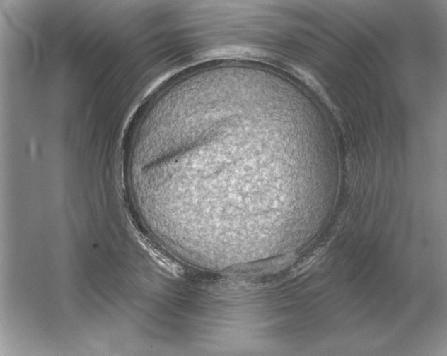 X0000064740931200603031704